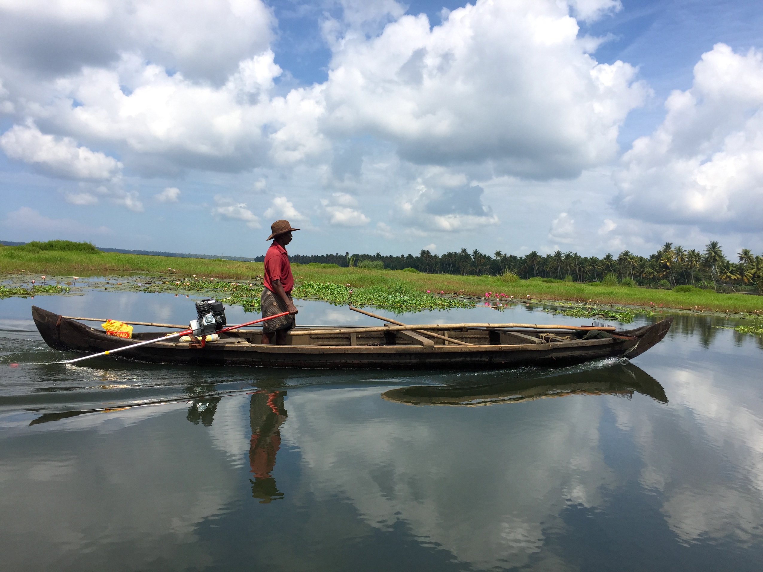 backwaters reflection